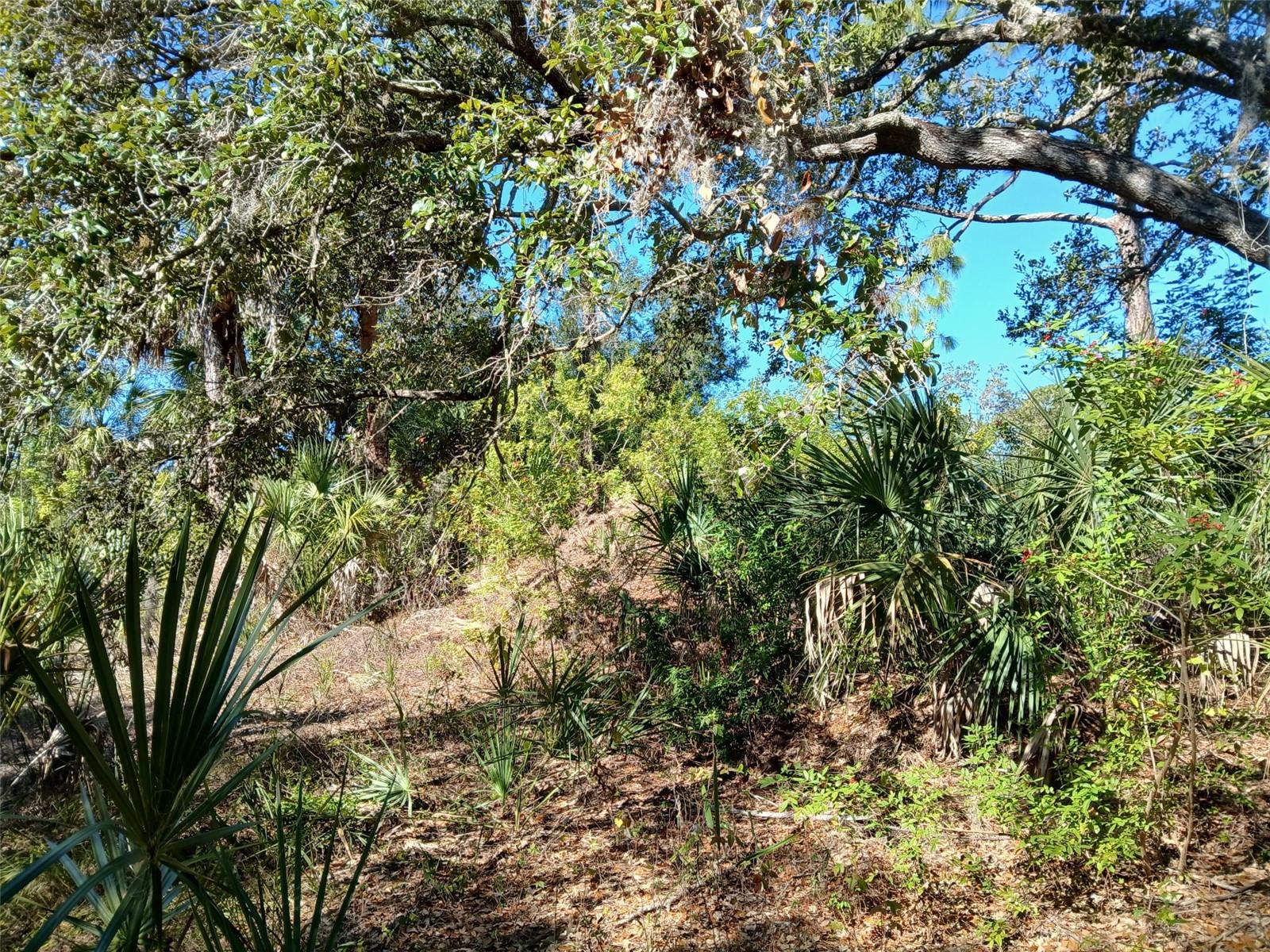 13493 MARKHAM AVE, PORT CHARLOTTE, FL — photo 8