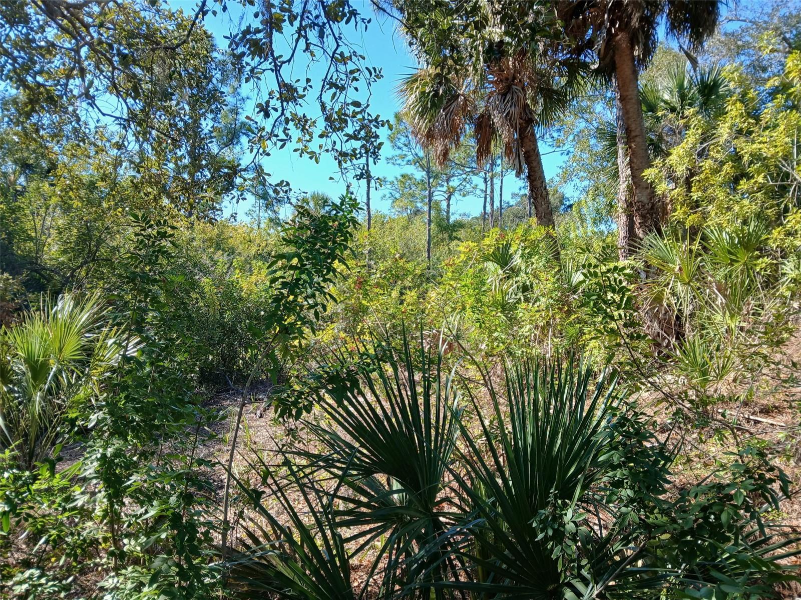 13493 MARKHAM AVE, PORT CHARLOTTE, FL — photo 10