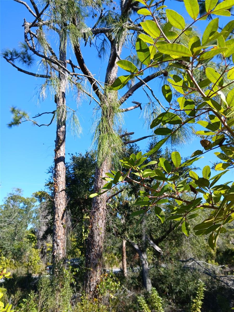 13493 MARKHAM AVE, PORT CHARLOTTE, FL — photo 12