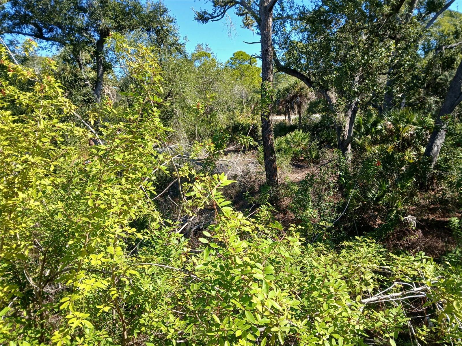 13493 MARKHAM AVE, PORT CHARLOTTE, FL — photo 17