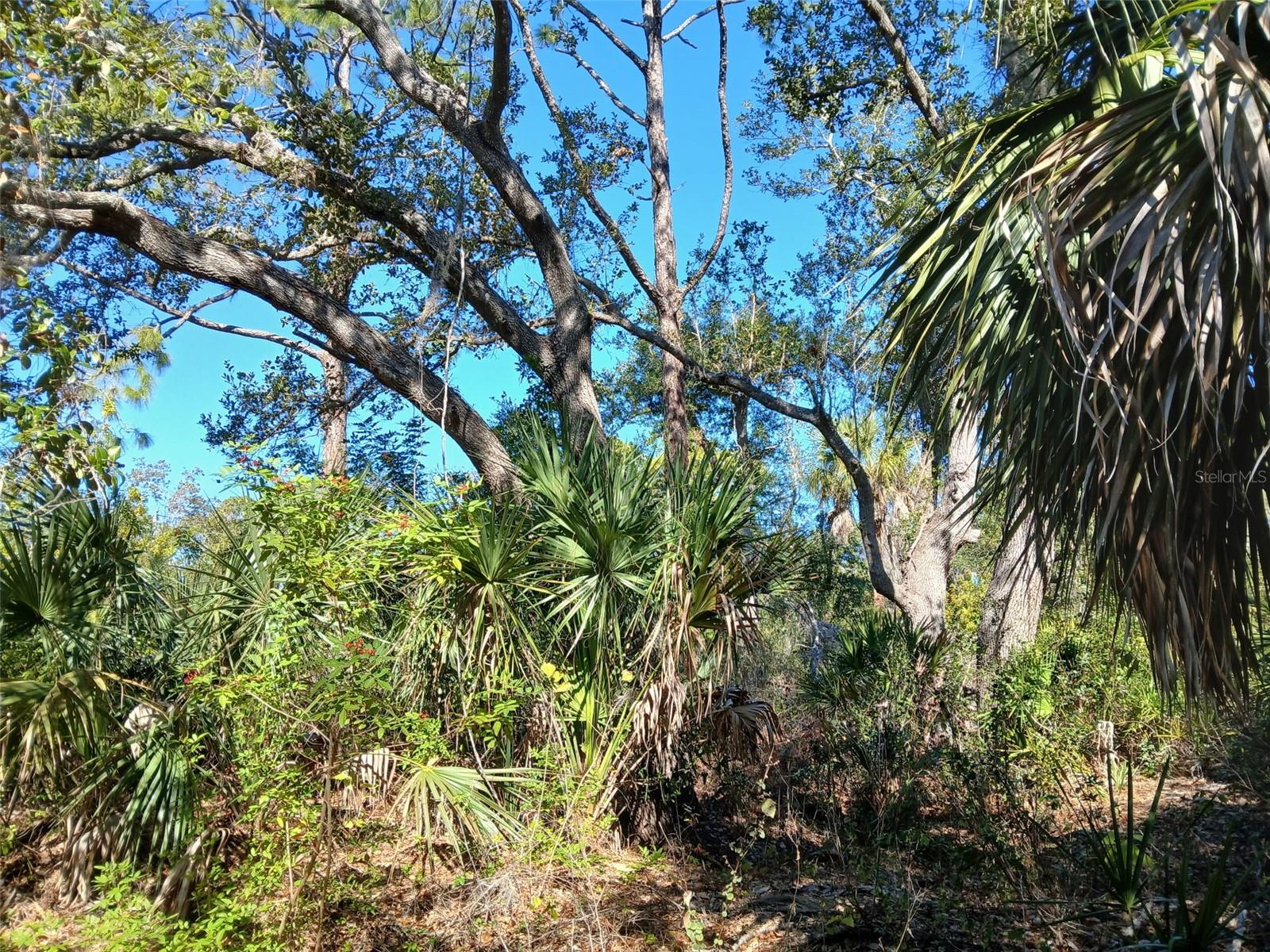 13493 MARKHAM AVE, PORT CHARLOTTE, FL — photo 18