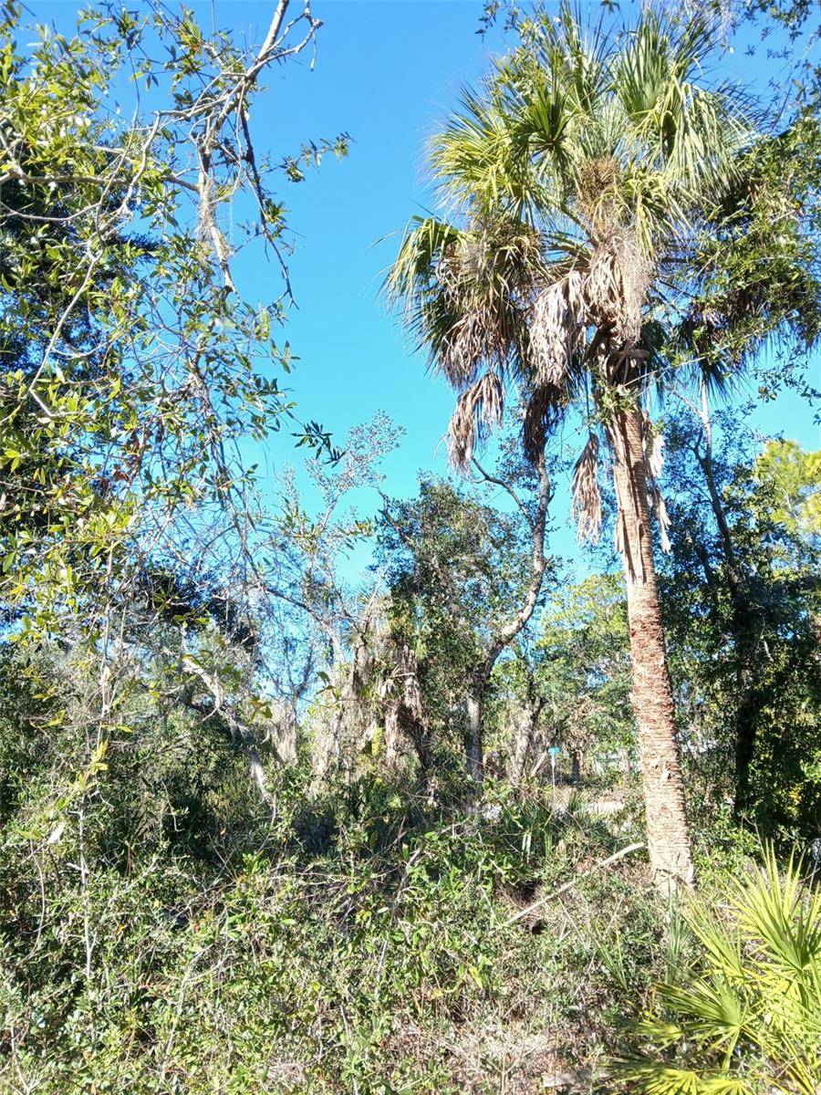 13493 MARKHAM AVE, PORT CHARLOTTE, FL — photo 21