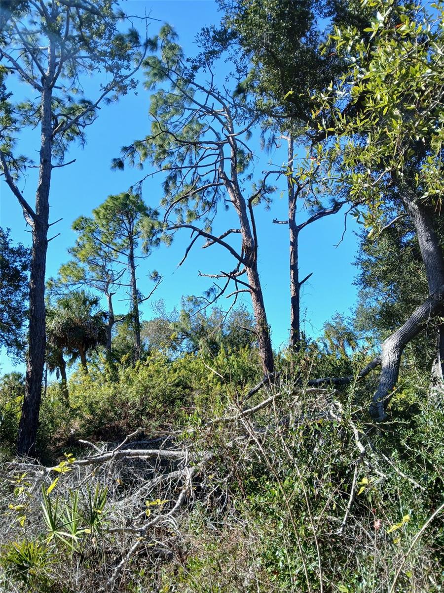 13493 MARKHAM AVE, PORT CHARLOTTE, FL — photo 22
