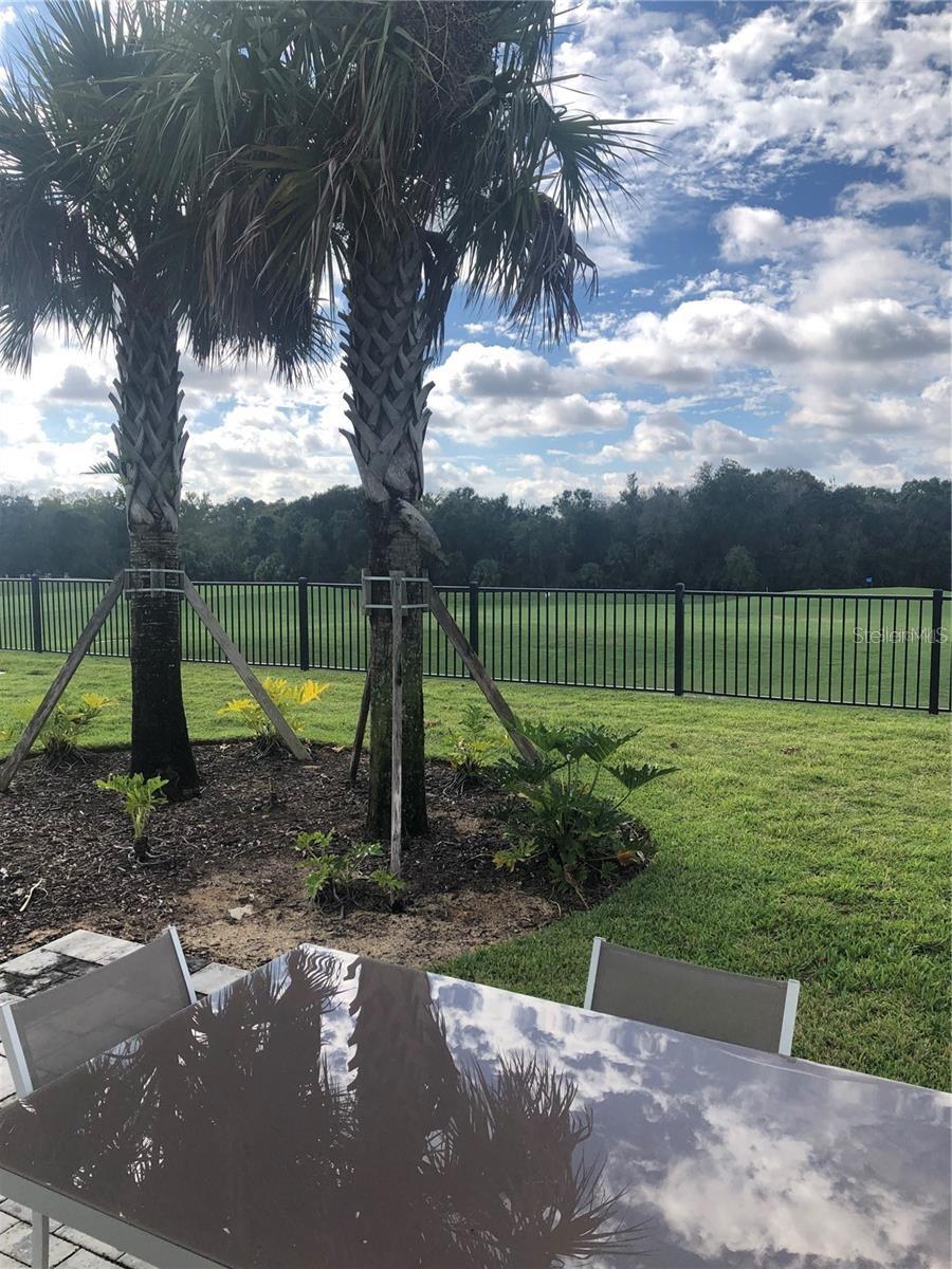820 DRIVING RANGE CT, REUNION, FL — photo 34