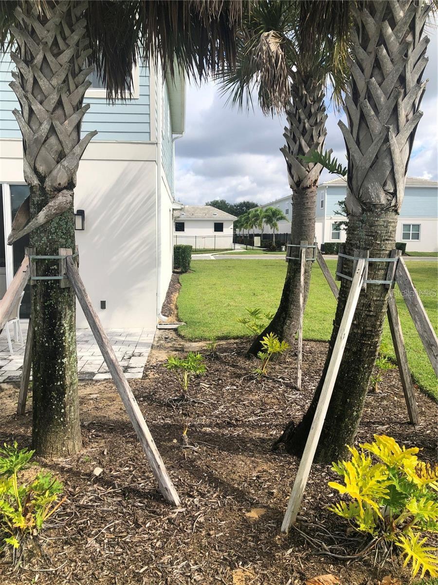 820 DRIVING RANGE CT, REUNION, FL — photo 39