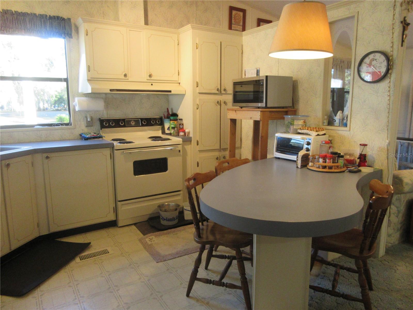 1984 SE 171ST CT, SILVER SPRINGS, FL — photo 60