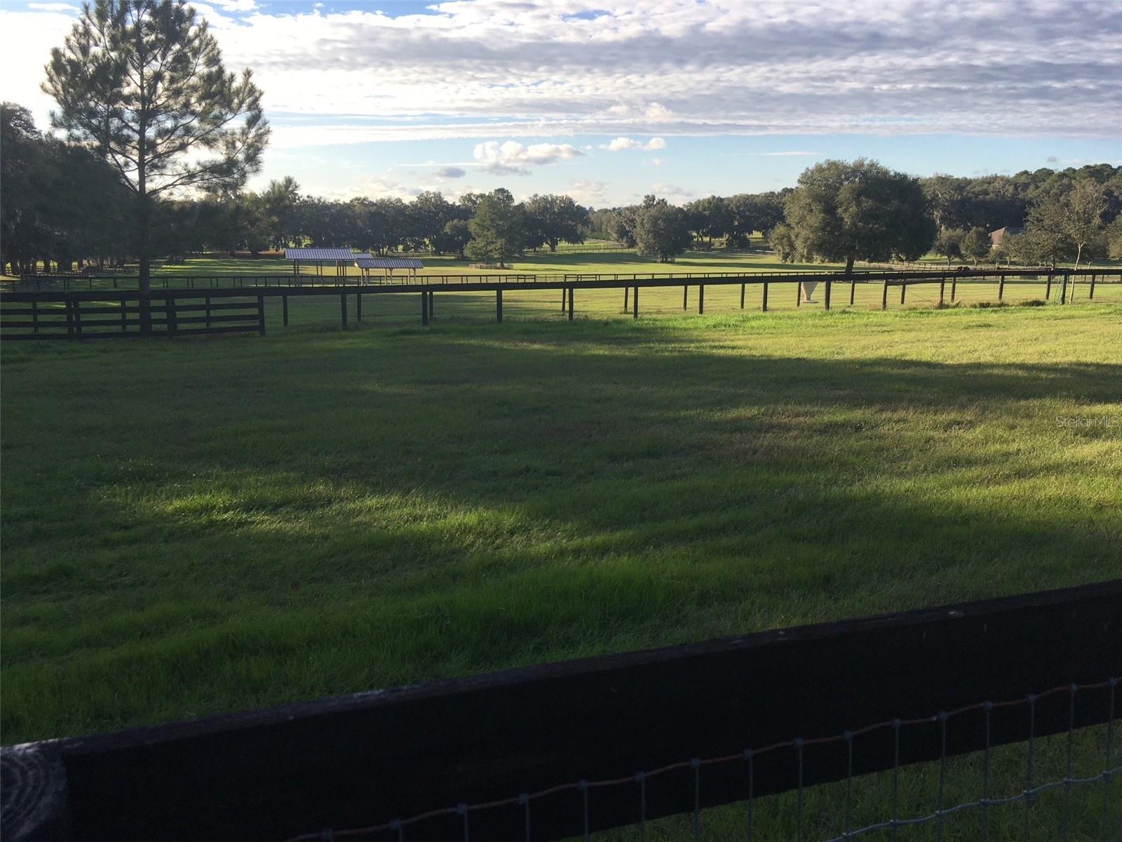 9549 NW 80TH AVE, OCALA, FL — photo 9