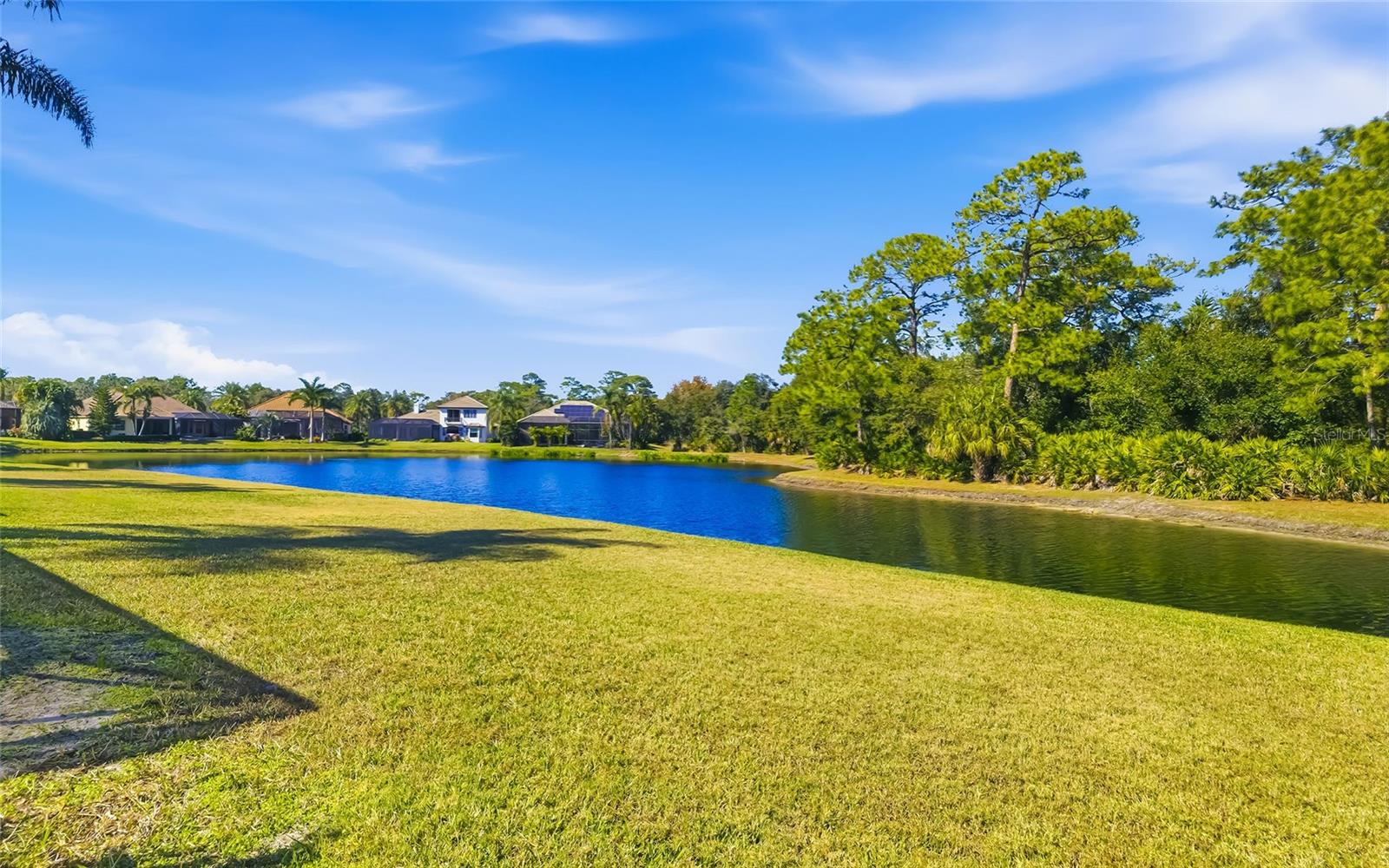 9515 ROYAL CALCUTTA PL, BRADENTON, FL — photo 43