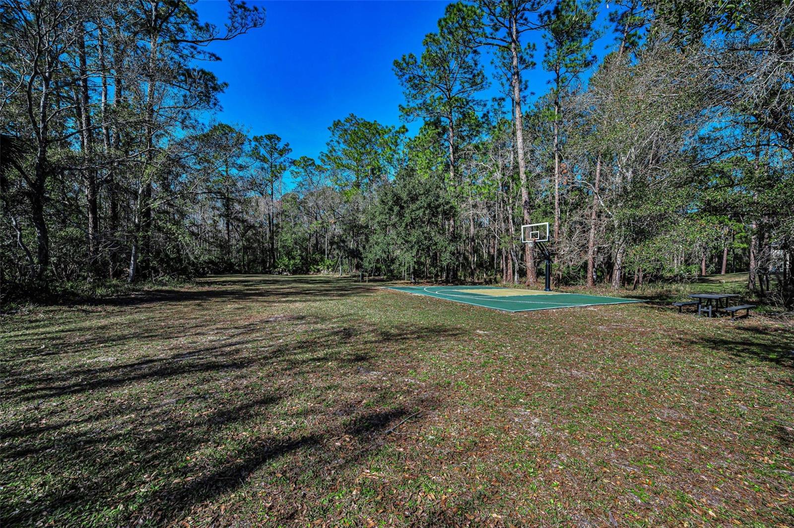 10709 WATULA CT, NEW PORT RICHEY, FL — photo 87