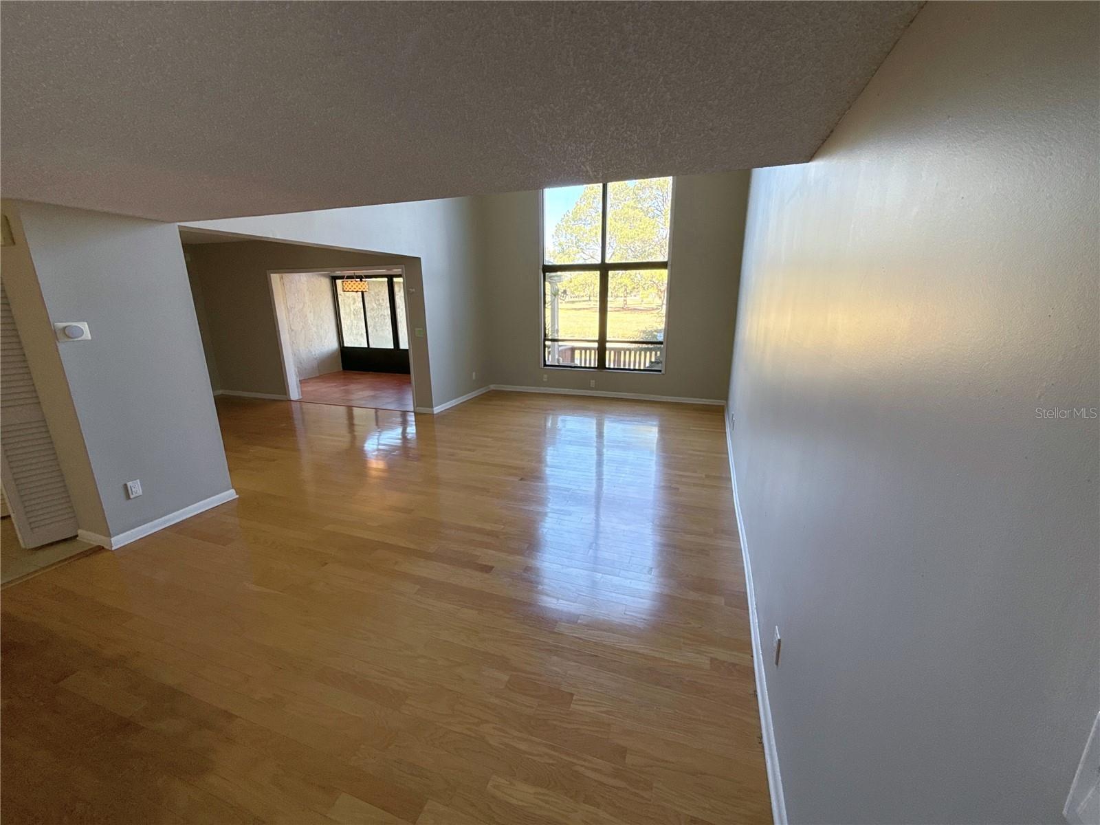 13516 PALMWOOD LN, TAMPA, FL — photo 10