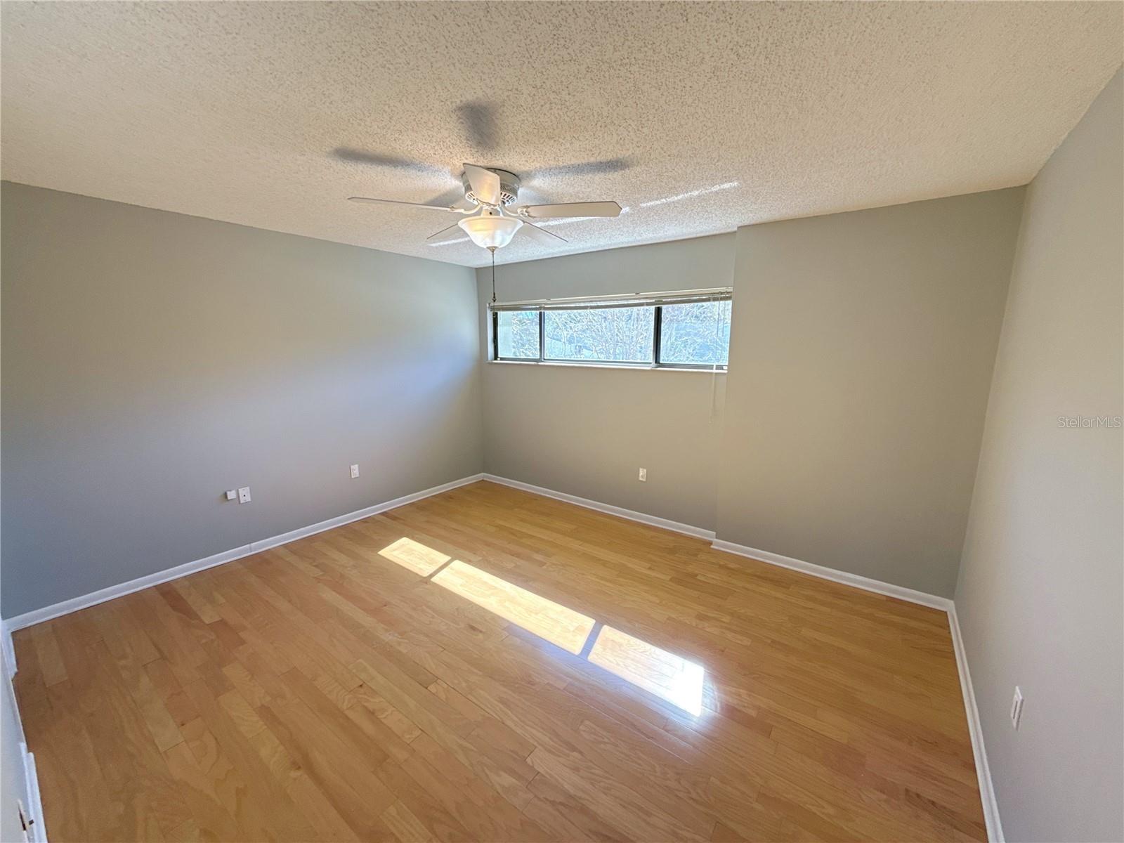 13516 PALMWOOD LN, TAMPA, FL — photo 34