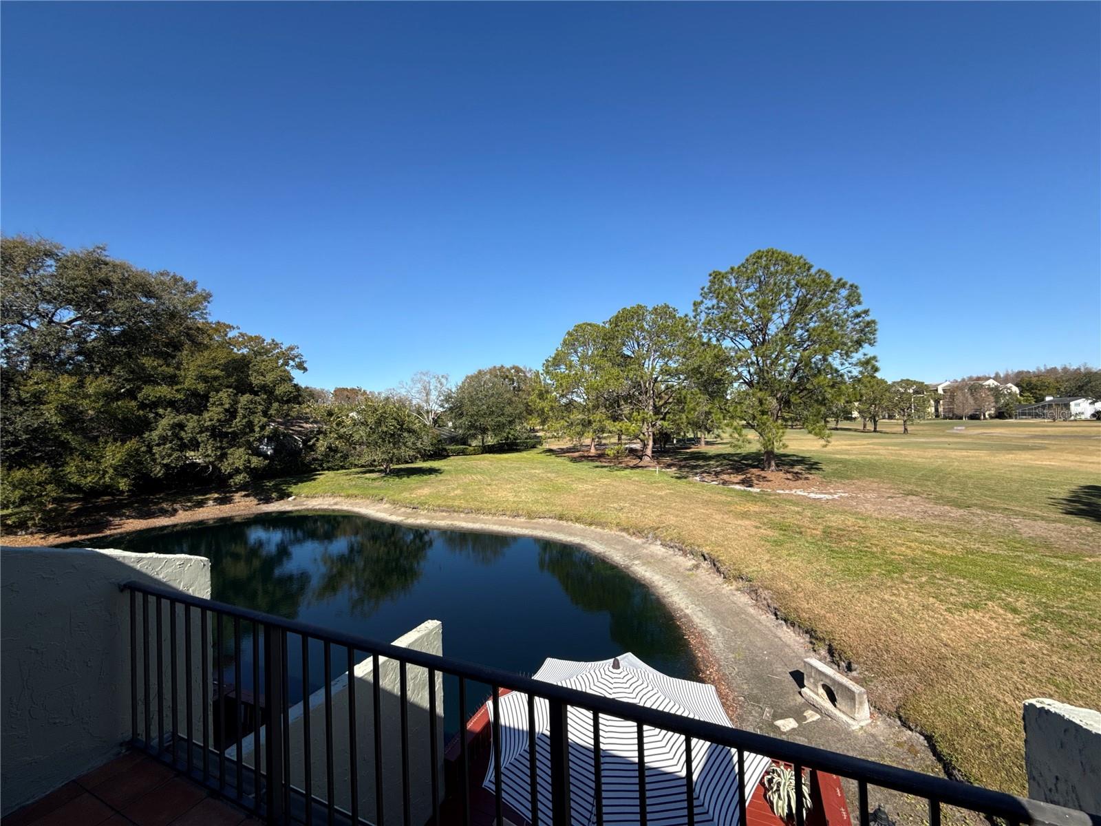 13516 PALMWOOD LN, TAMPA, FL — photo 39