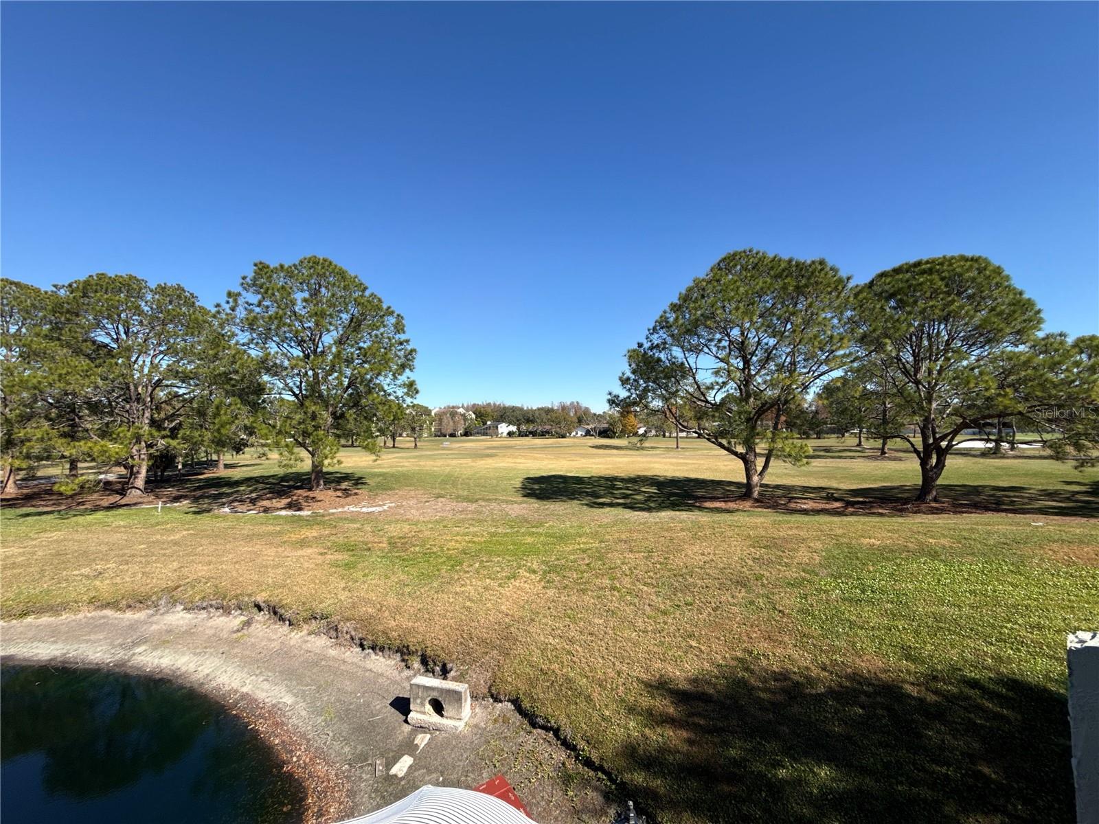 13516 PALMWOOD LN, TAMPA, FL — photo 42