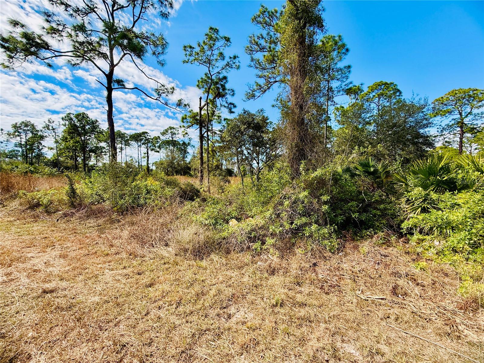 2007 TRUMAN AVE, ALVA, FL — photo 9
