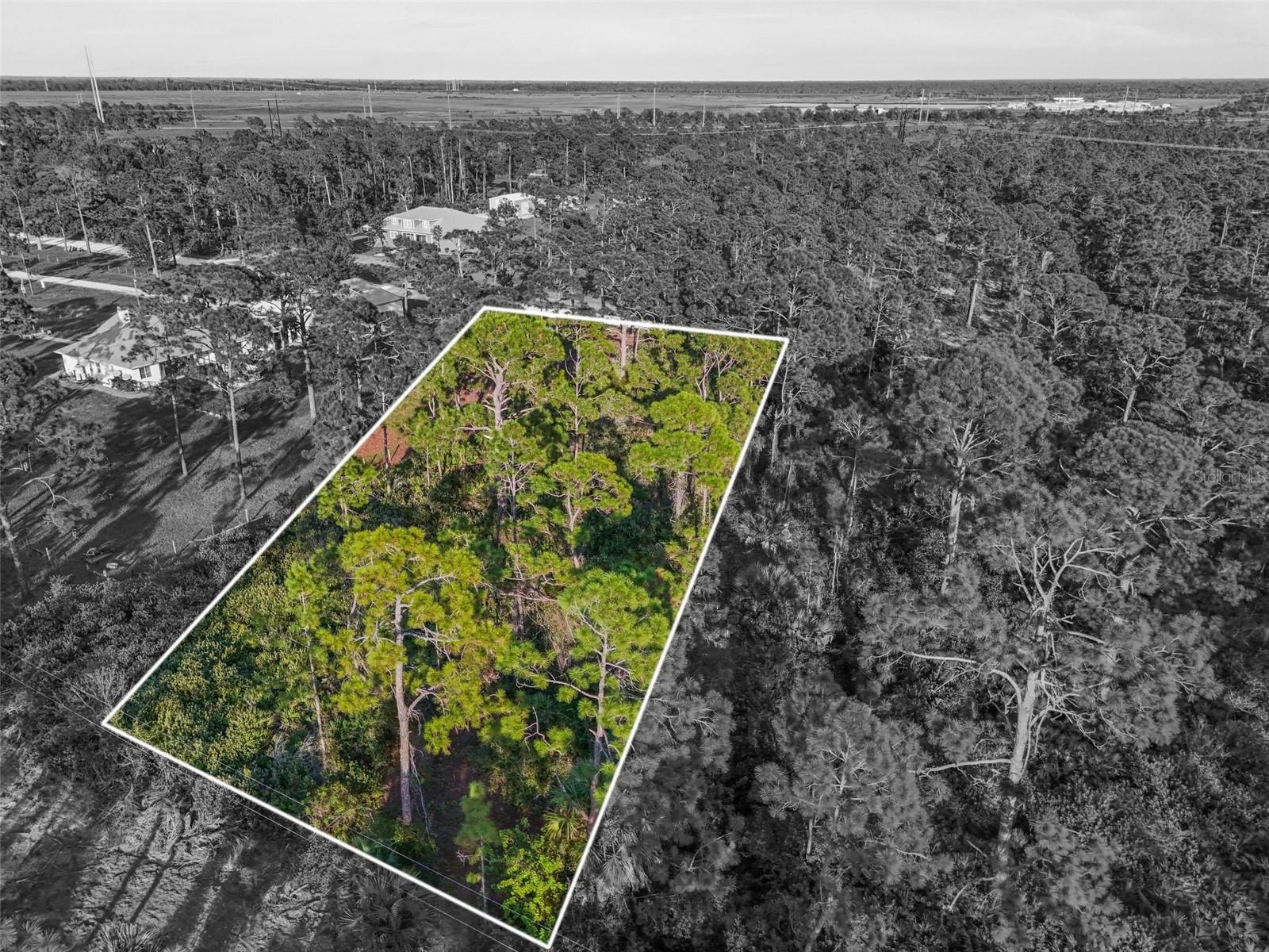 7123 SWEDEN BLVD, PUNTA GORDA, FL — photo 4