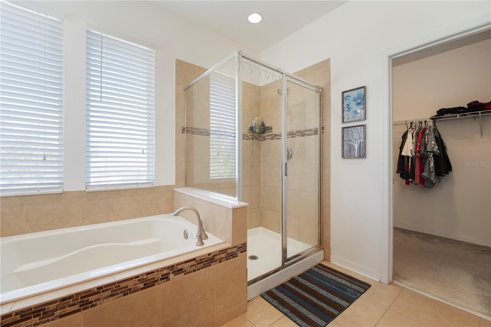 15043 PIGEON PLUM LN, WINTER GARDEN, FL — photo 16