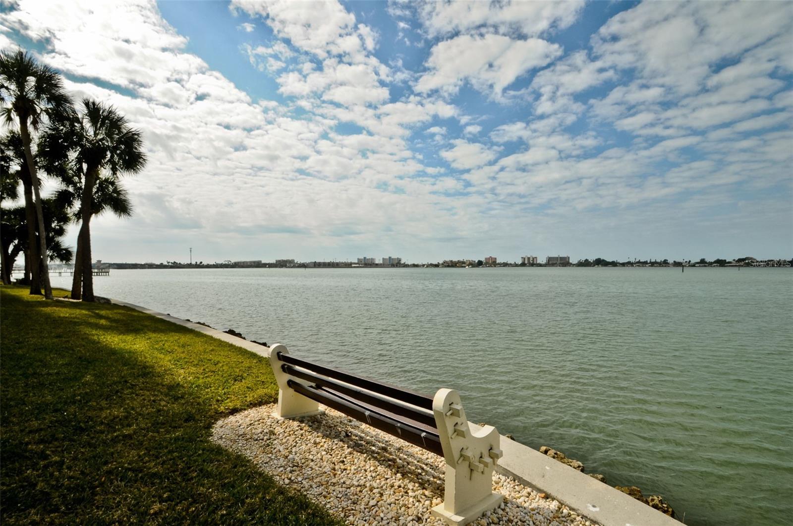 4525 COVE CIR #604, ST PETERSBURG, FL — photo 44