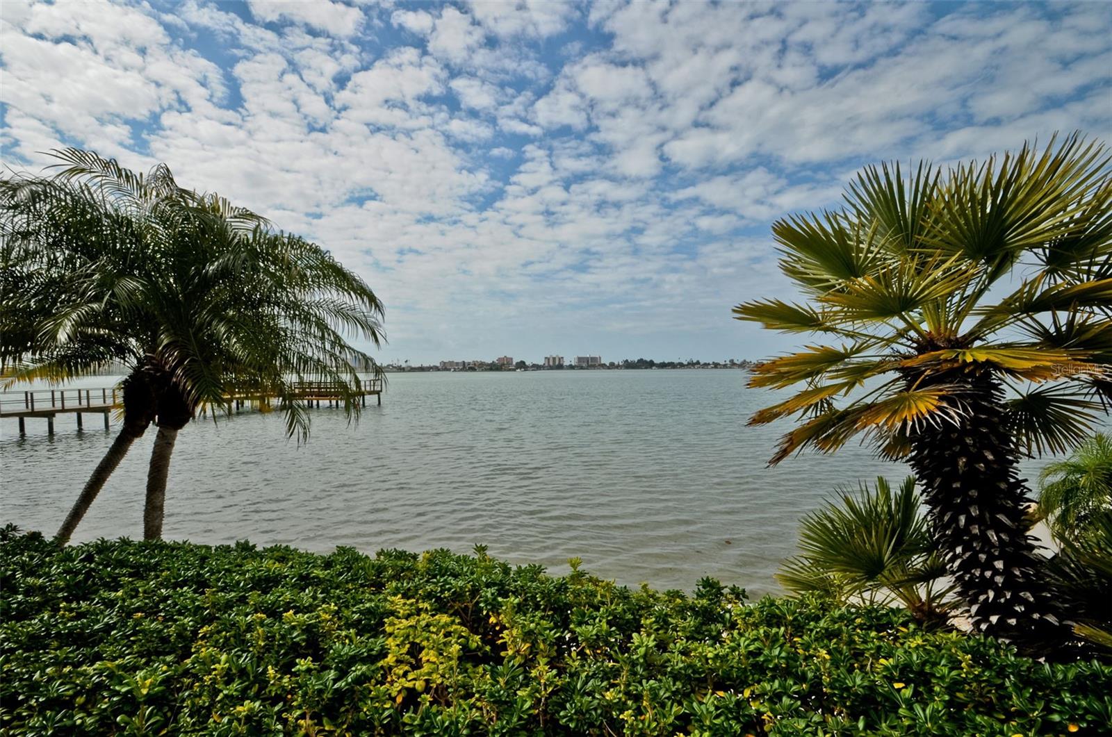 4525 COVE CIR #604, ST PETERSBURG, FL — photo 45