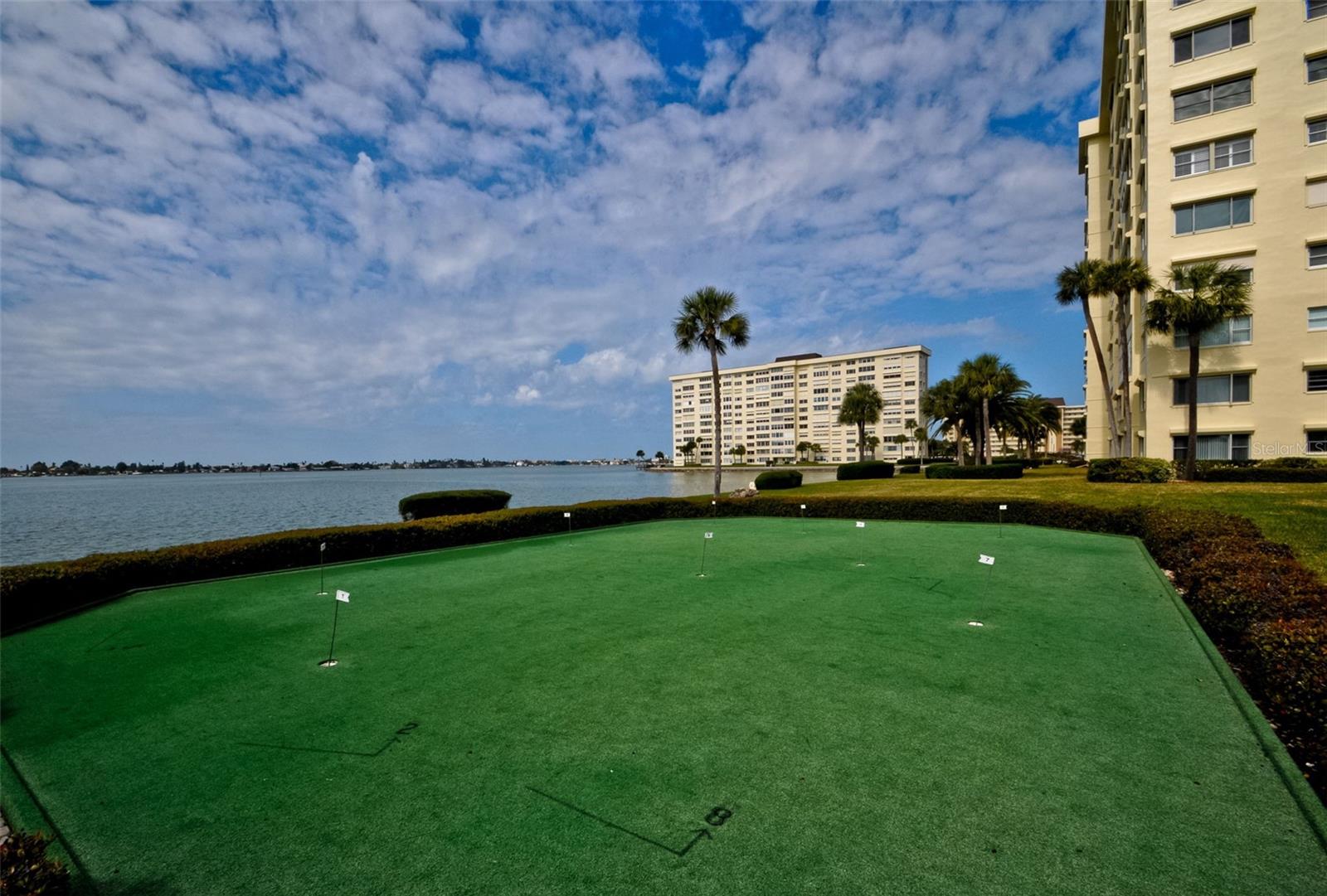 4525 COVE CIR #604, ST PETERSBURG, FL — photo 47
