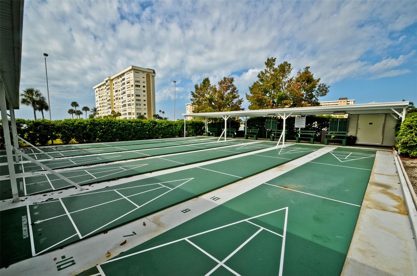 4525 COVE CIR #604, ST PETERSBURG, FL — photo 49