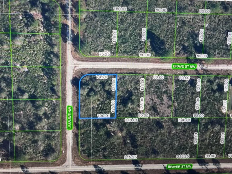 108 LEAR AVE NW, LAKE PLACID, FL