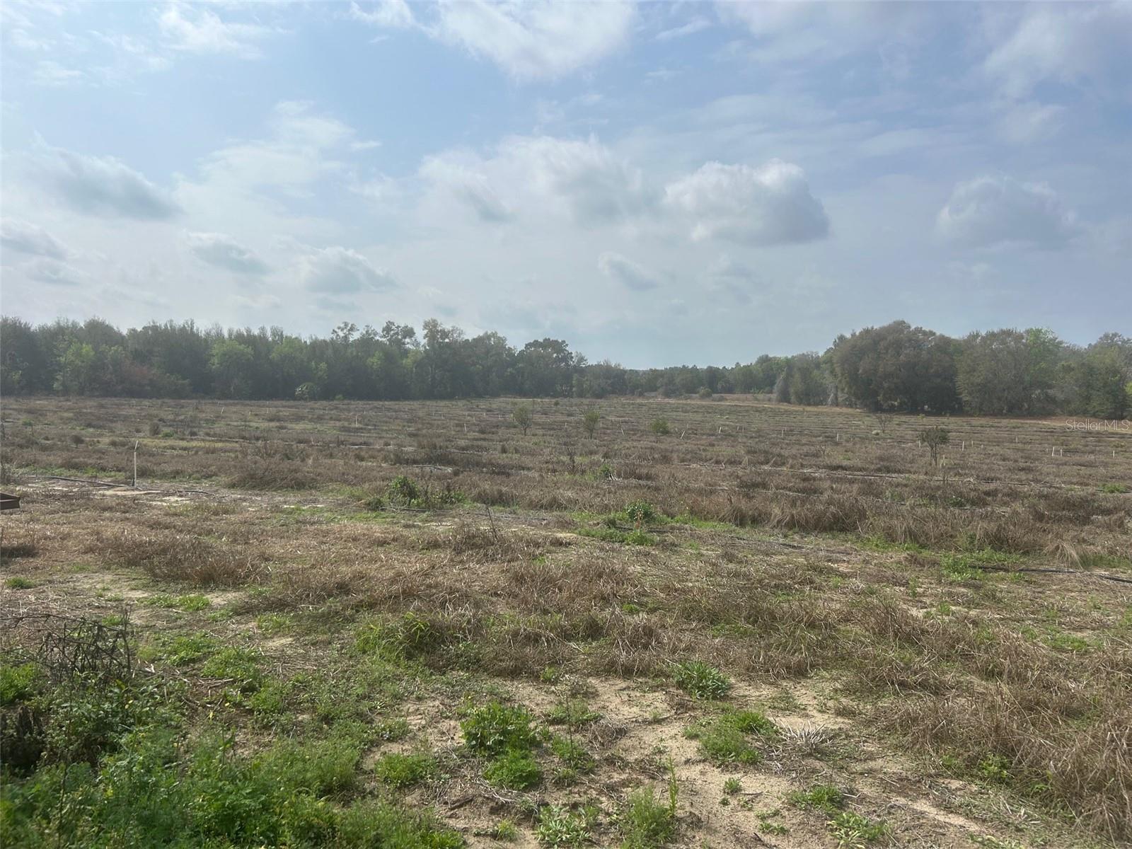 NUMBER TWO RD, LEESBURG, FL