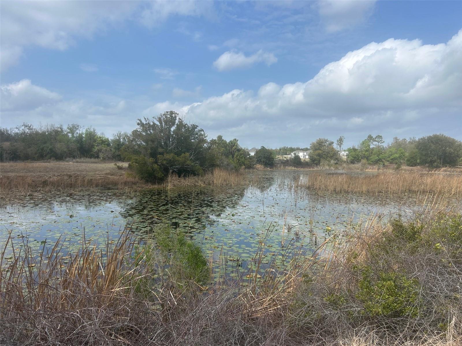 NUMBER TWO RD, LEESBURG, FL — photo 5