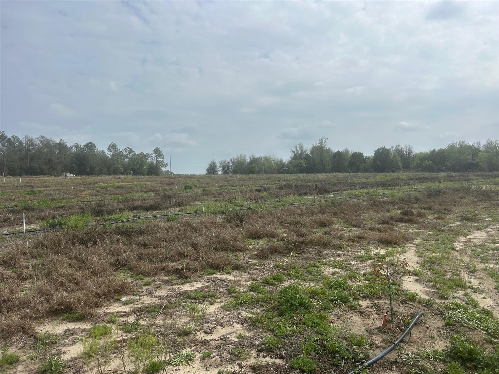 NUMBER TWO RD, LEESBURG, FL — photo 12