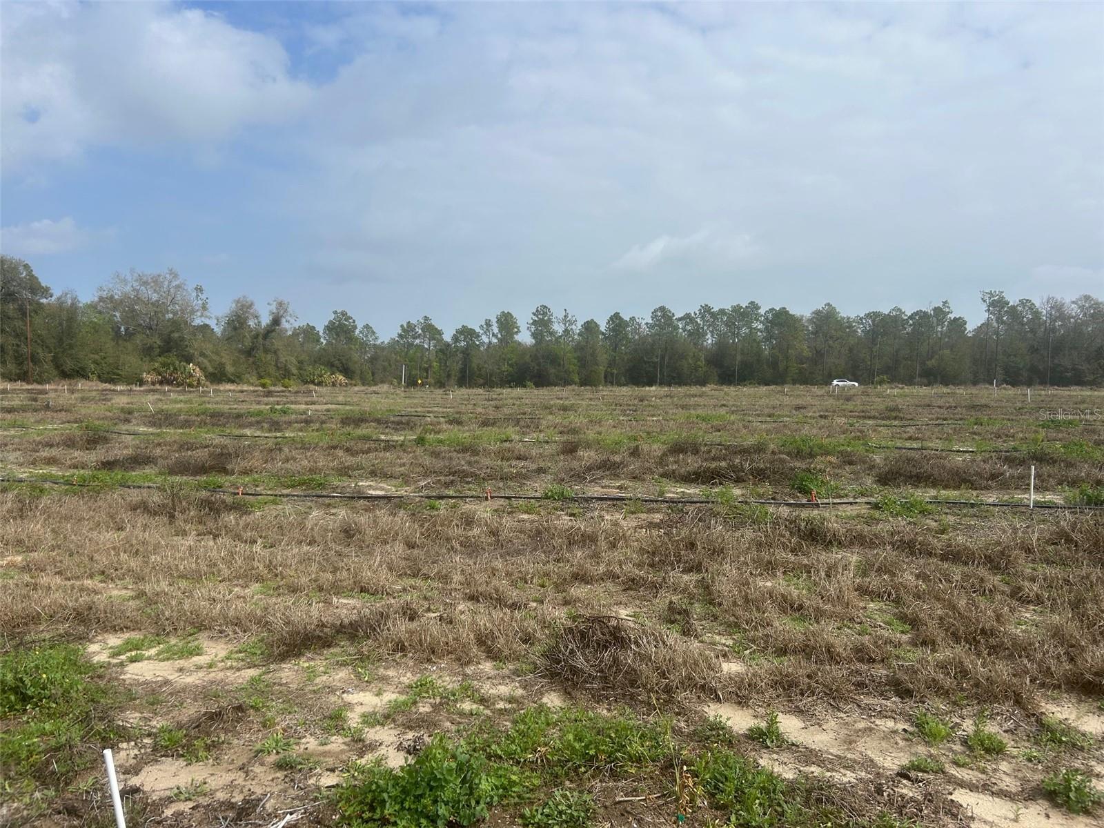 NUMBER TWO RD, LEESBURG, FL — photo 13