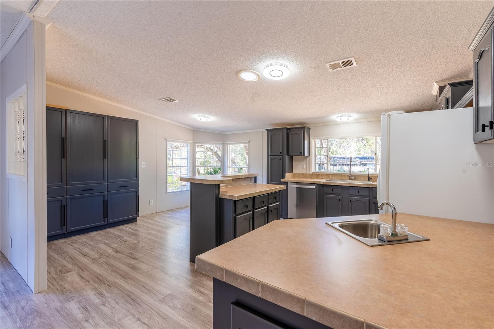 13811 COUNTY ROAD 109D, LADY LAKE, FL — photo 5