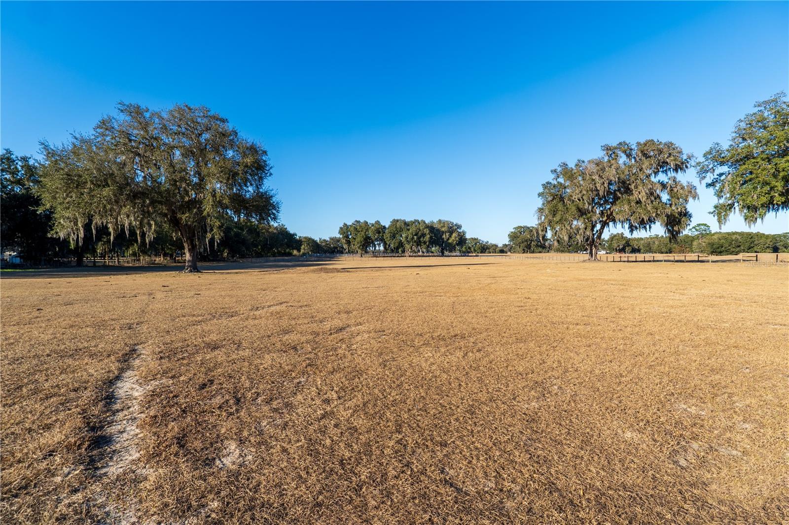 2051 SE 155TH ST, SUMMERFIELD, FL — photo 5