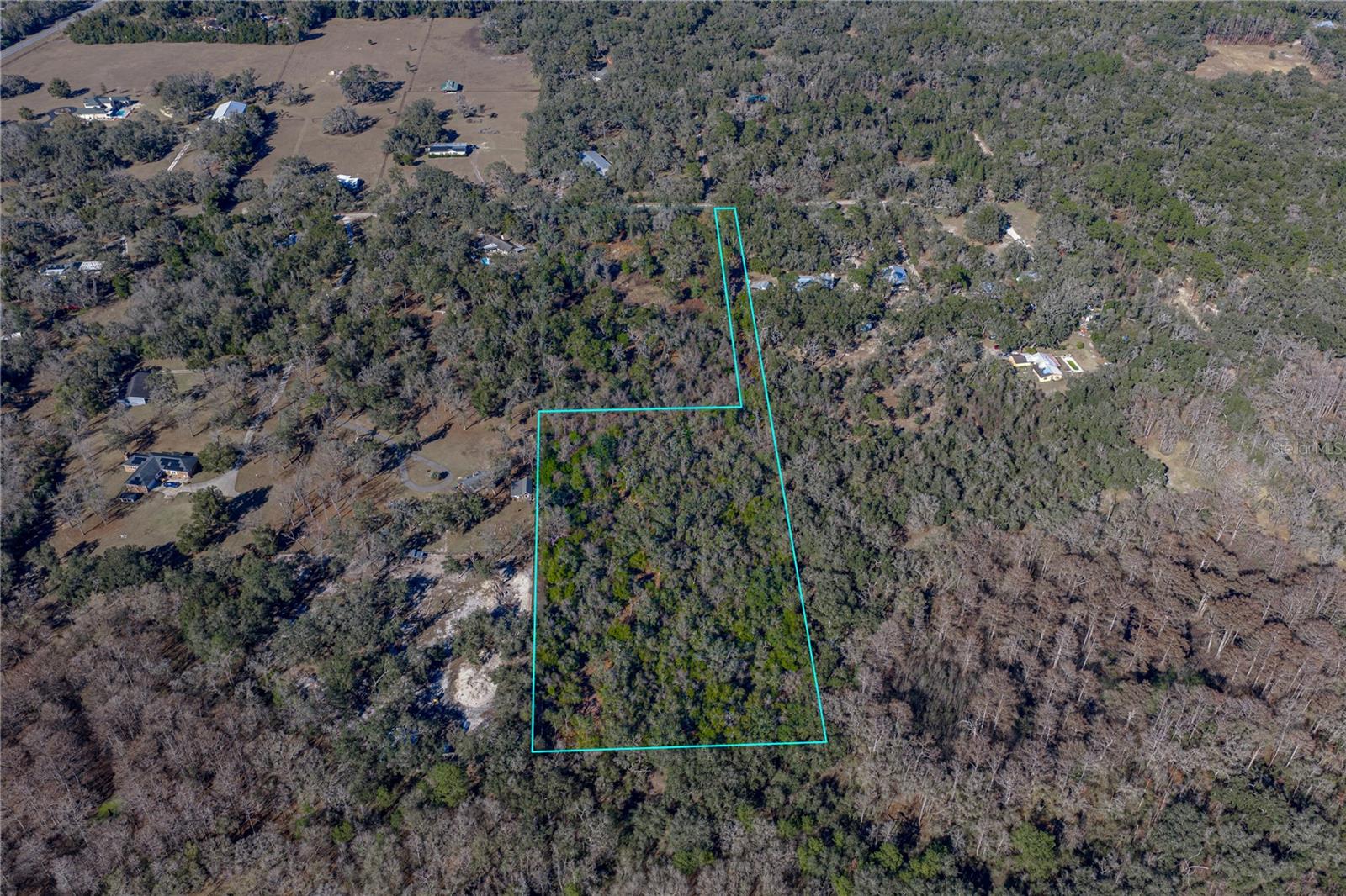 00 ROWNTREE DR, DADE CITY, FL — photo 3