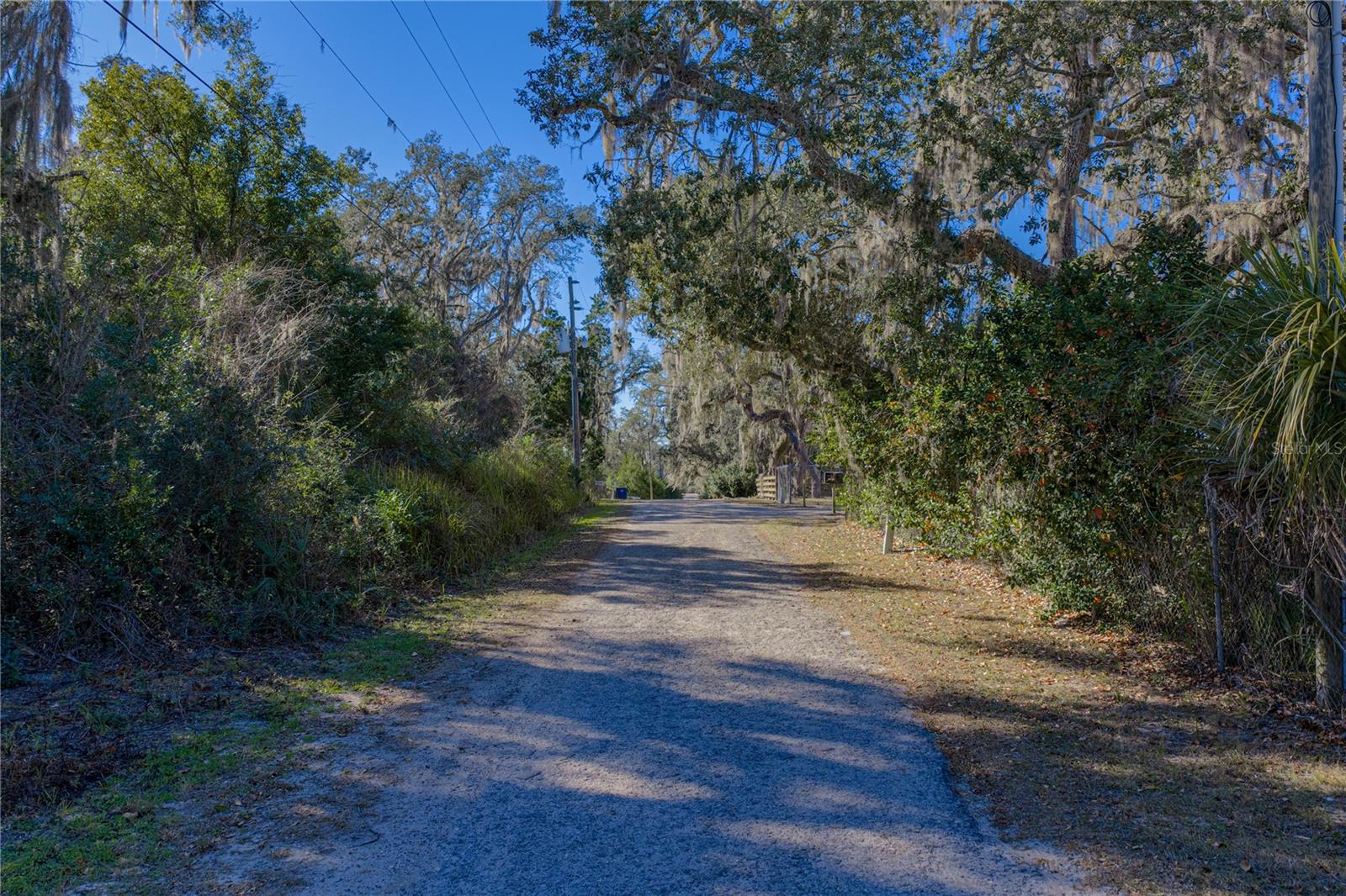 00 ROWNTREE DR, DADE CITY, FL — photo 7