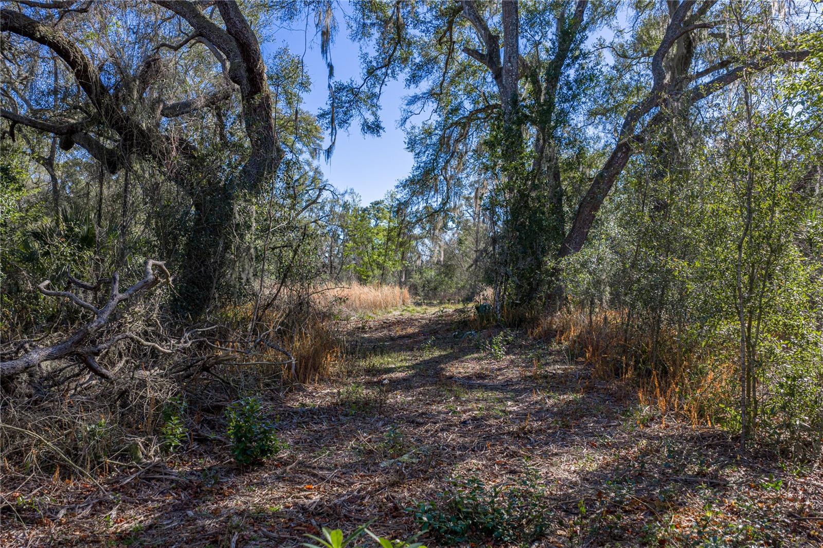00 ROWNTREE DR, DADE CITY, FL — photo 9