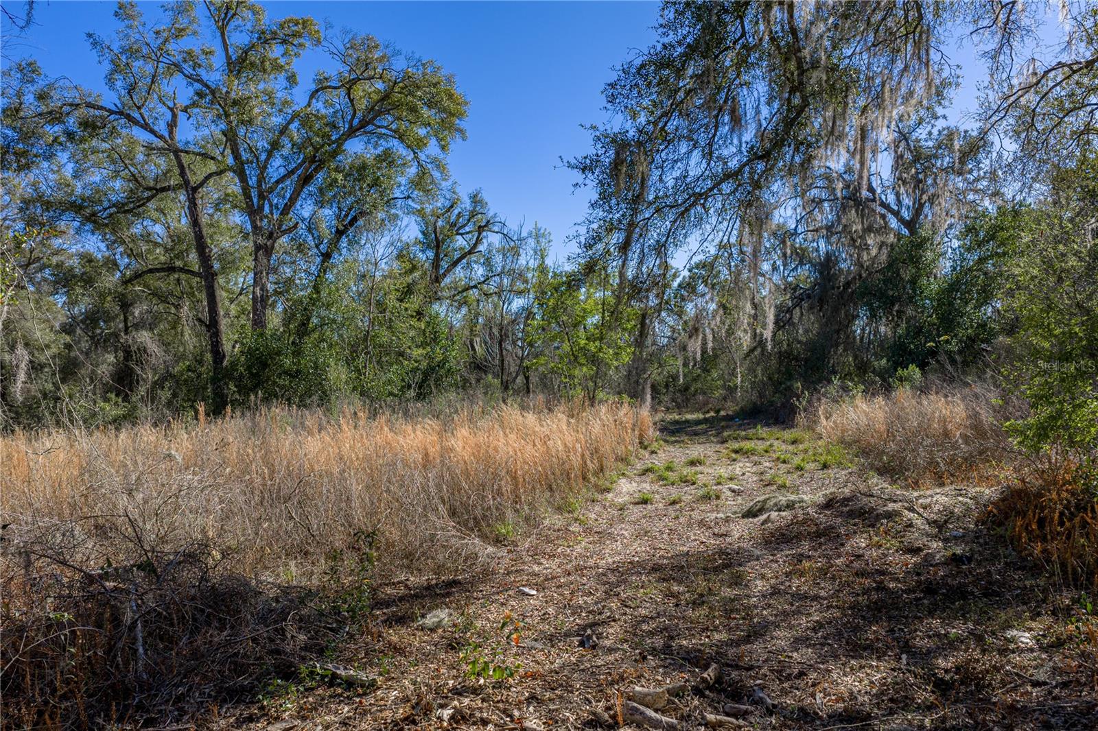 00 ROWNTREE DR, DADE CITY, FL — photo 10