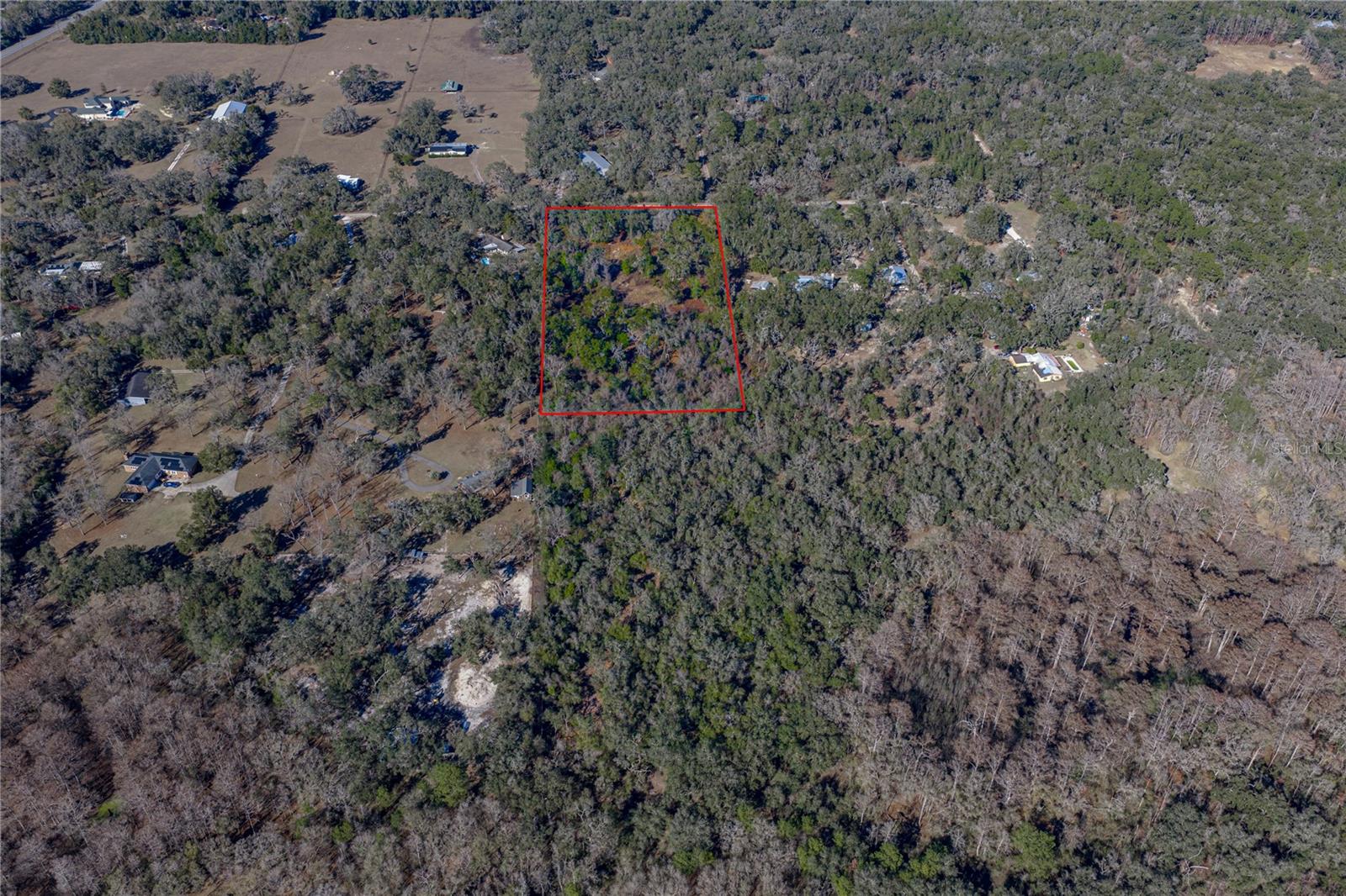 0 ROWNTREE DR, DADE CITY, FL — photo 3
