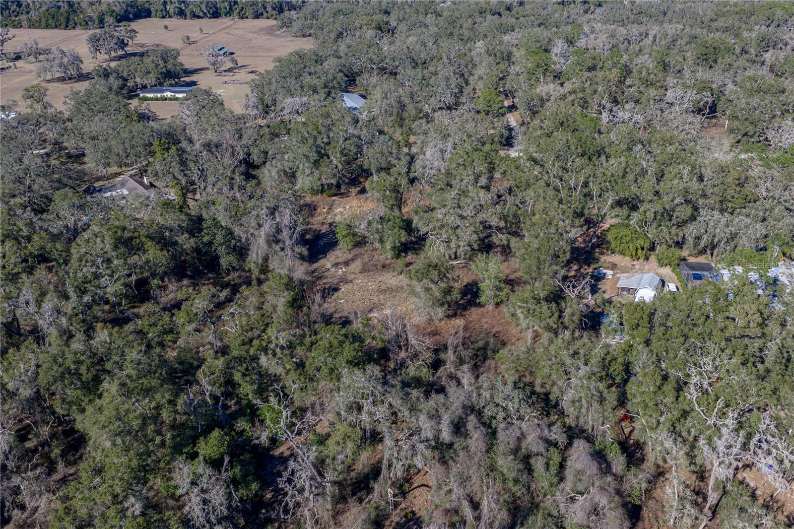 0 ROWNTREE DR, DADE CITY, FL — photo 7