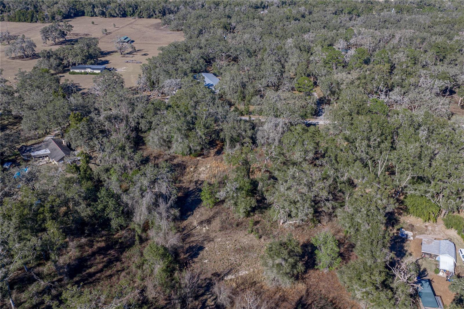 0 ROWNTREE DR, DADE CITY, FL — photo 8