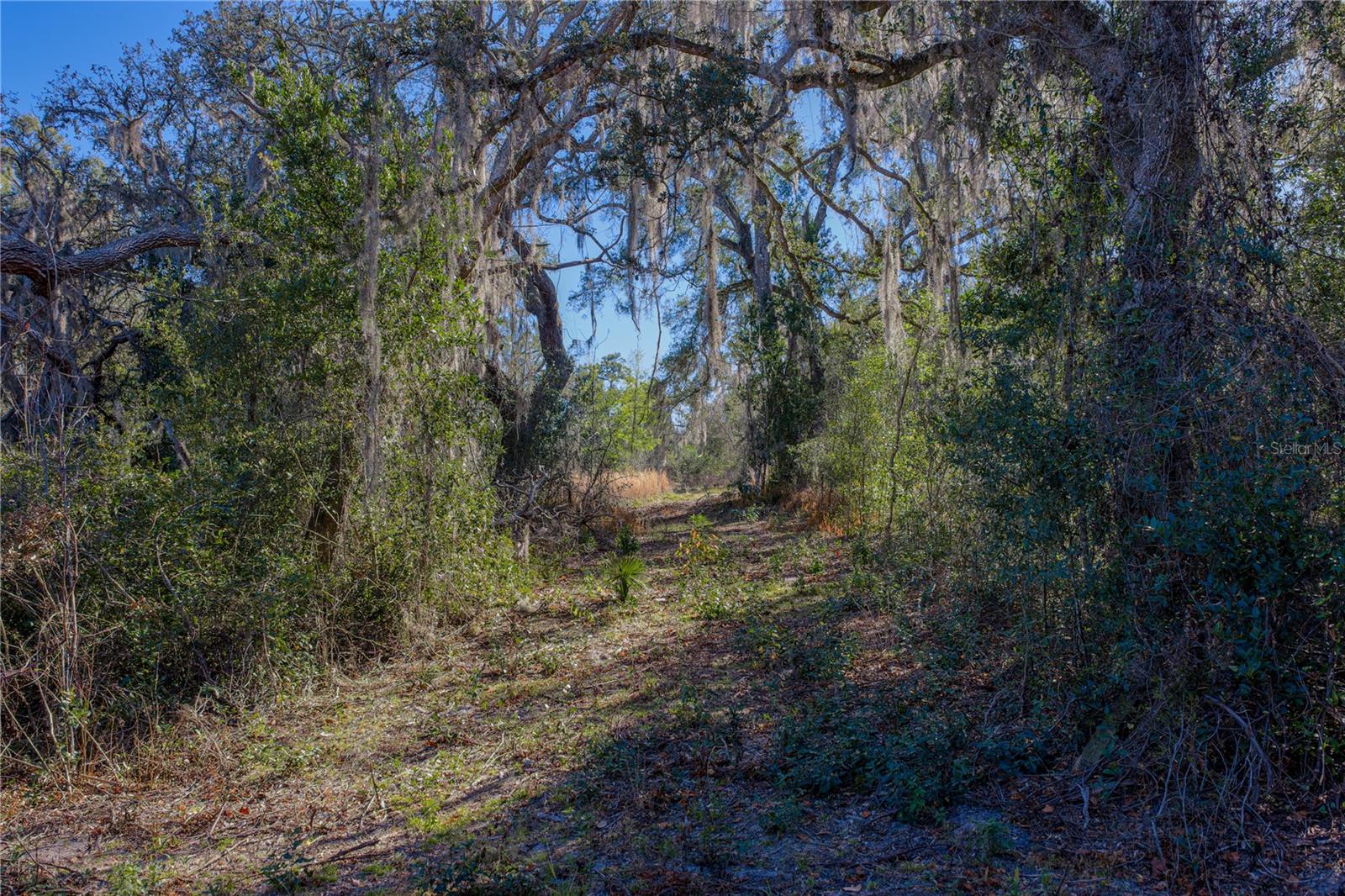 0 ROWNTREE DR, DADE CITY, FL — photo 10