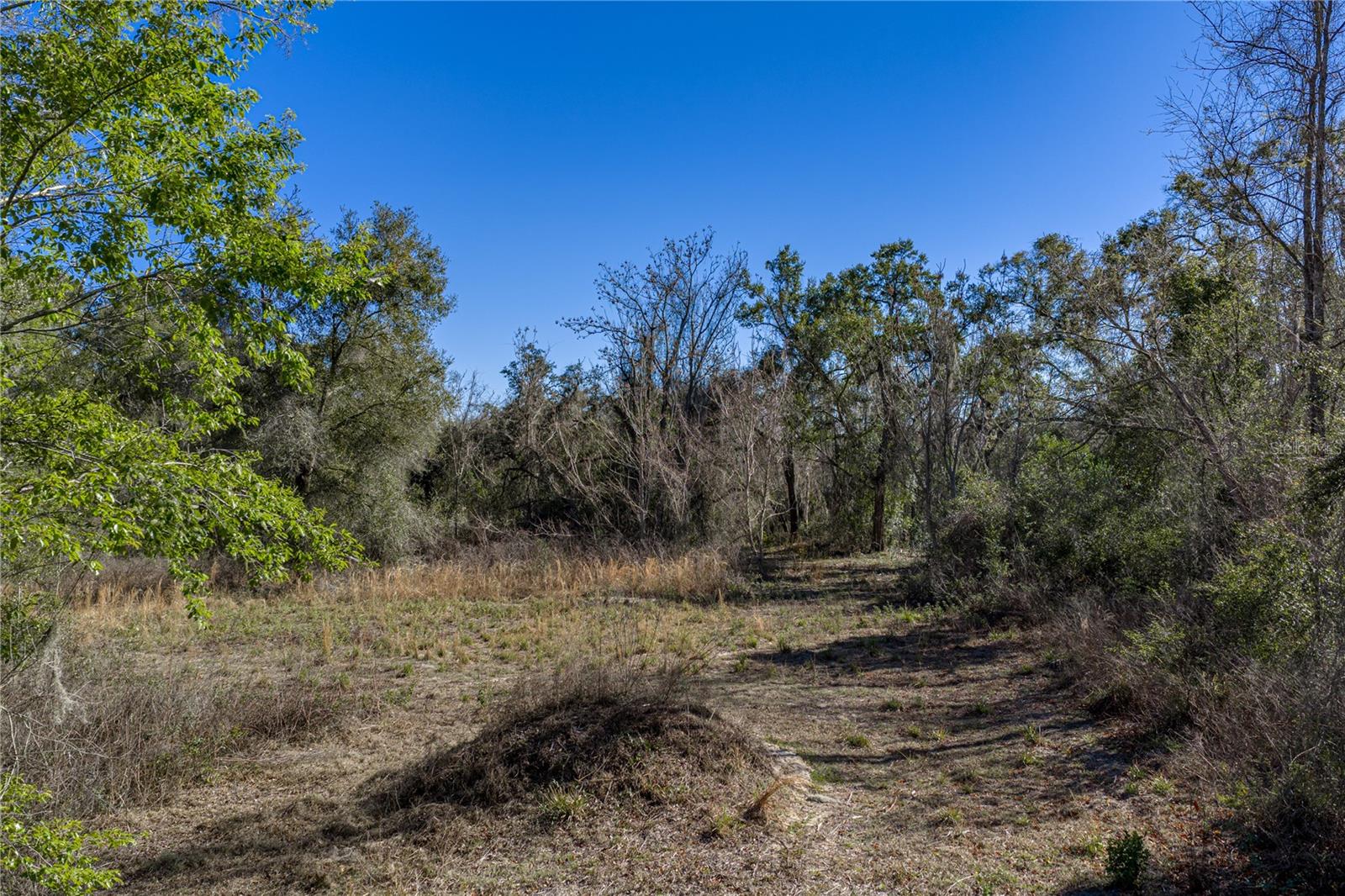0 ROWNTREE DR, DADE CITY, FL — photo 13
