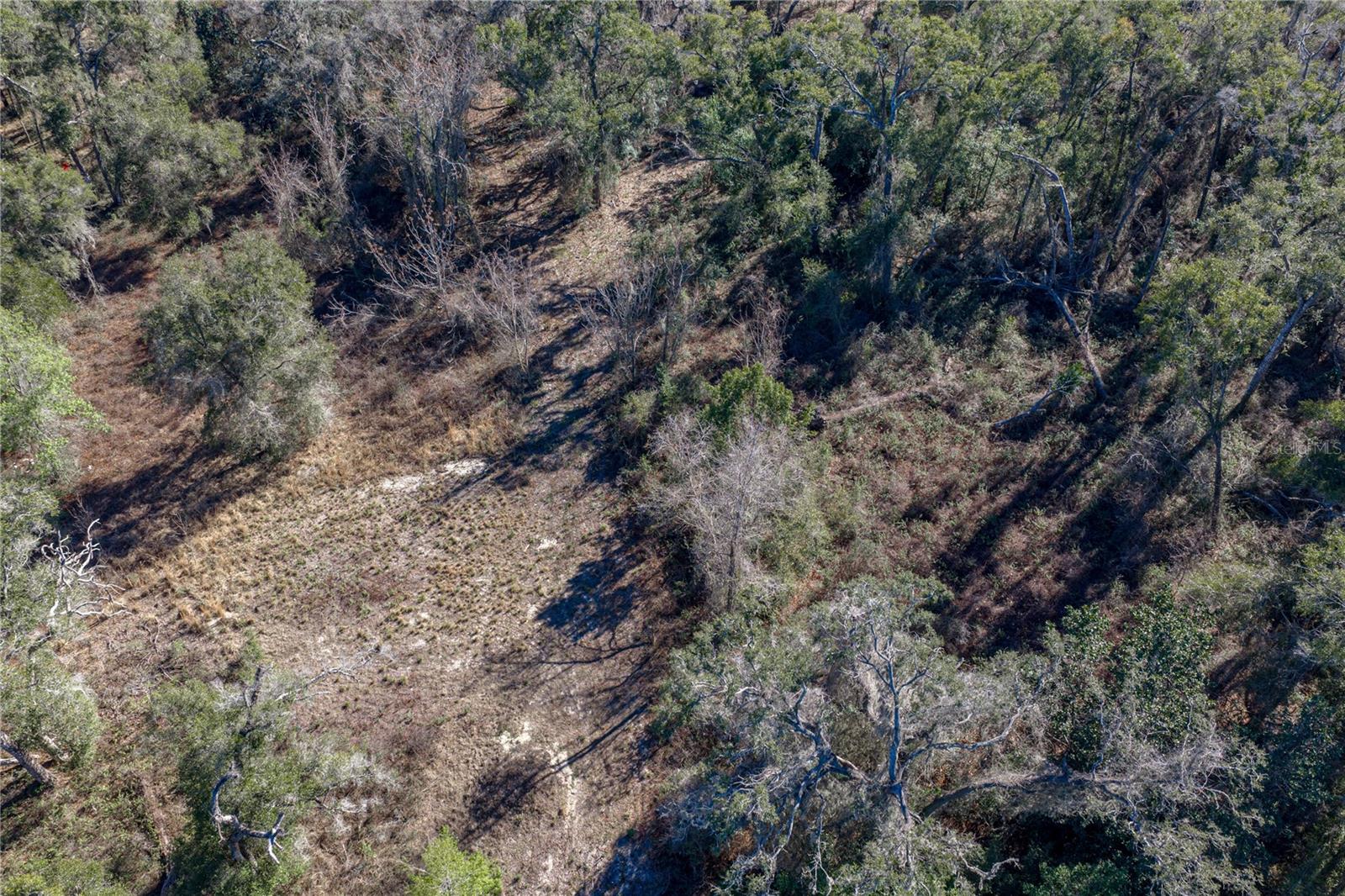0 ROWNTREE DR, DADE CITY, FL — photo 14