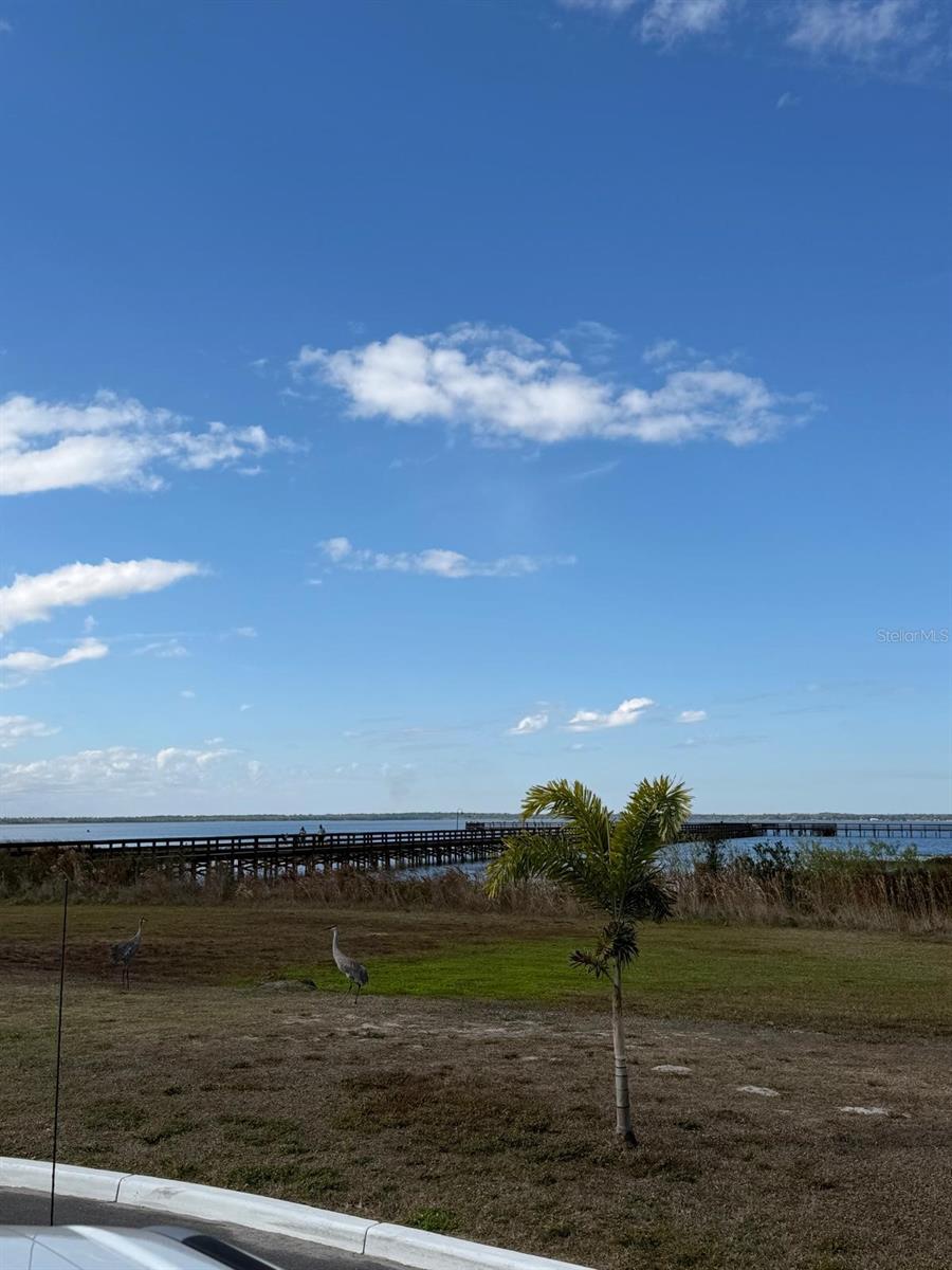 923 GAILLARDIA DR, INDIAN LAKE ESTATES, FL — photo 18
