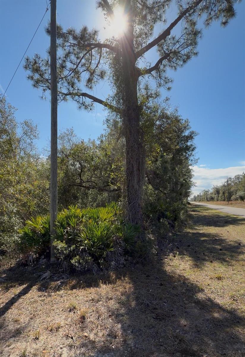 923 GAILLARDIA DR, INDIAN LAKE ESTATES, FL — photo 5