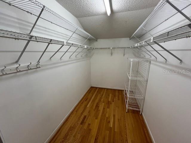 1725 PINE RIDGE WAY E #C, PALM HARBOR, FL — photo 17