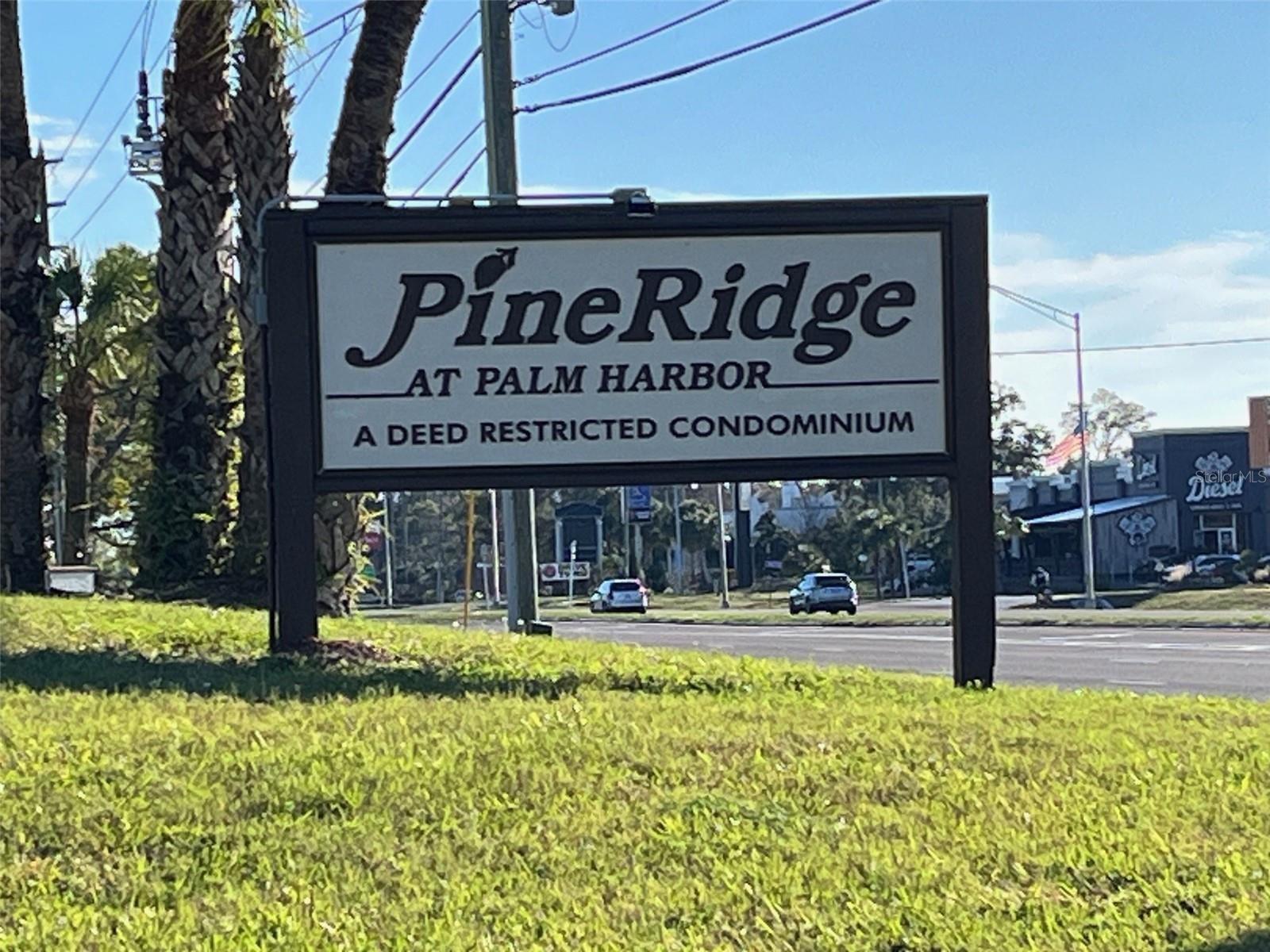 1725 PINE RIDGE WAY E #C, PALM HARBOR, FL — photo 28