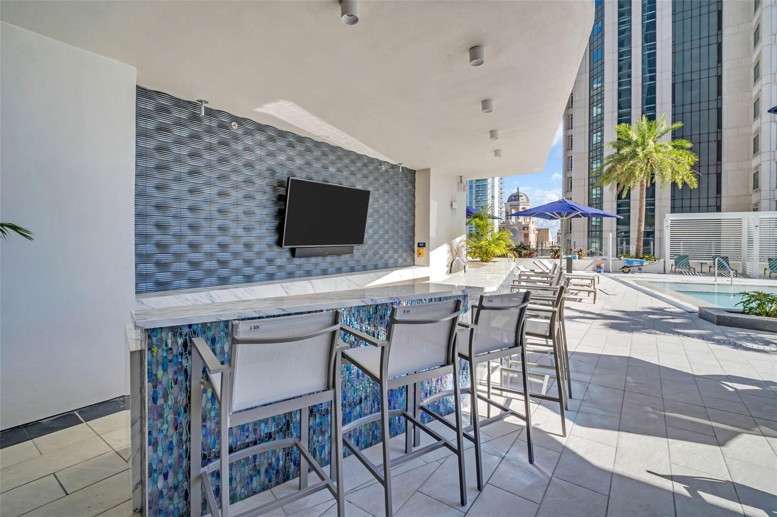 275 1ST AVE S #2708, ST PETERSBURG, FL — photo 65