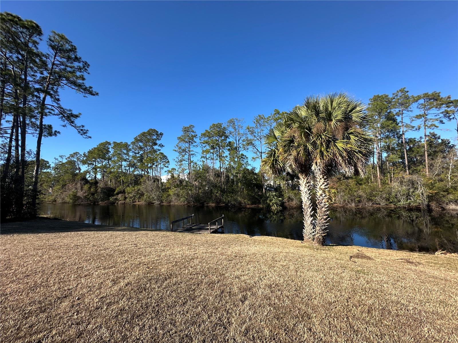 100 WEBSTER LN, PALM COAST, FL — photo 33