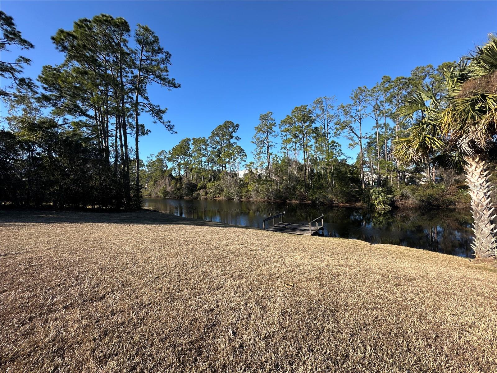 100 WEBSTER LN, PALM COAST, FL — photo 34