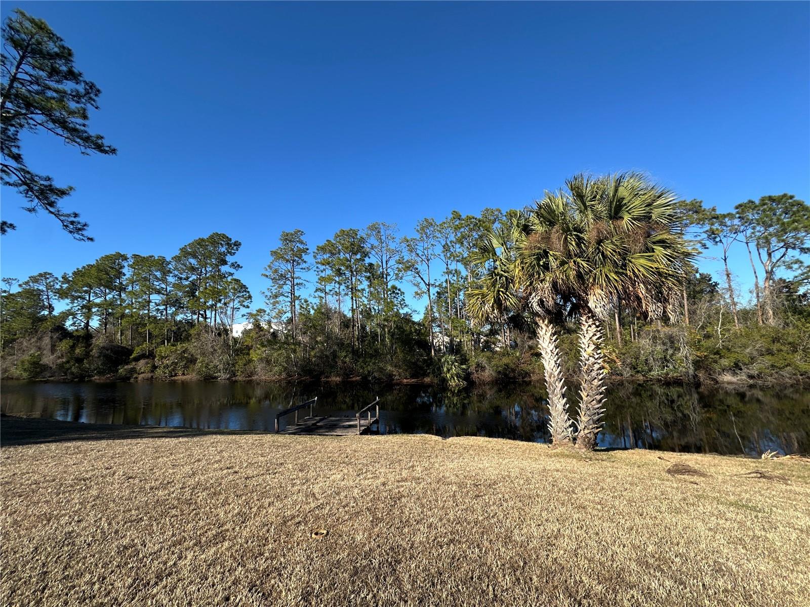 100 WEBSTER LN, PALM COAST, FL — photo 35