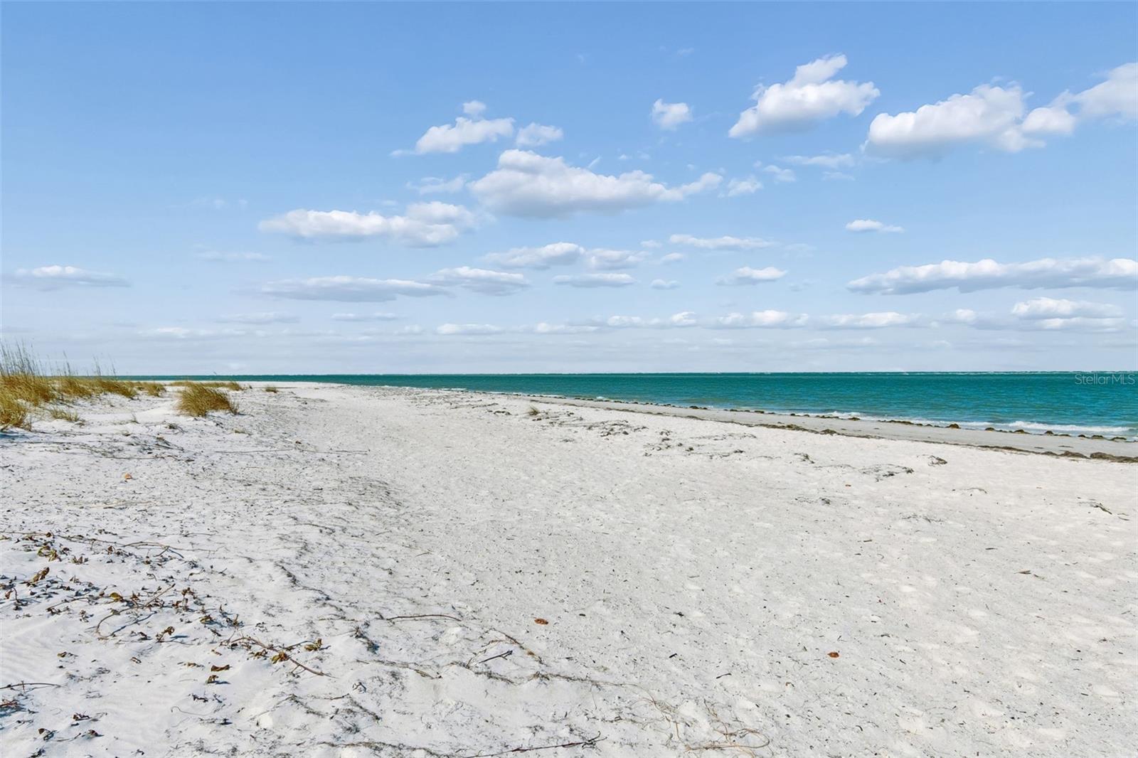 865 N SHORE DR, ANNA MARIA, FL — photo 67